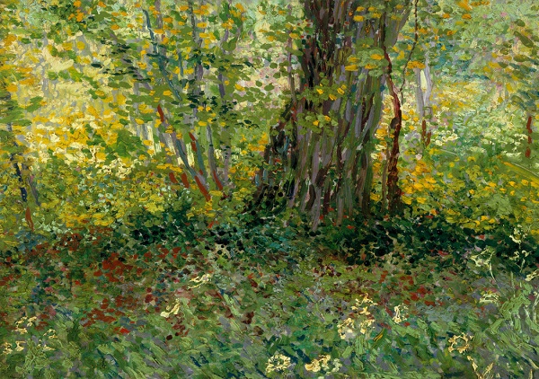 Maleza-Van Gogh-Poder-Color