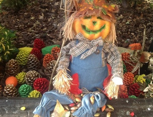 Preparando Halloween