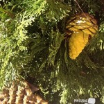 Ideas DIY: 5 formas de decorar con Piñas