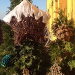 Ideas DIY: 5 formas de decorar con Piñas