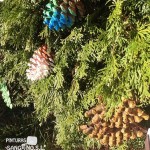 Ideas DIY: 5 formas de decorar con Piñas