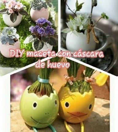 diy maceta con cáscara de huevo
