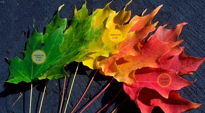 Tendencias: los colores Farrow&Ball para Otoño