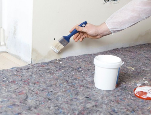 Causas de la humedad en una pared y cómo solucionarlo con pintura