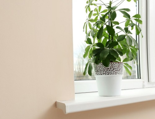 Cómo pintar el alféizar de la ventana