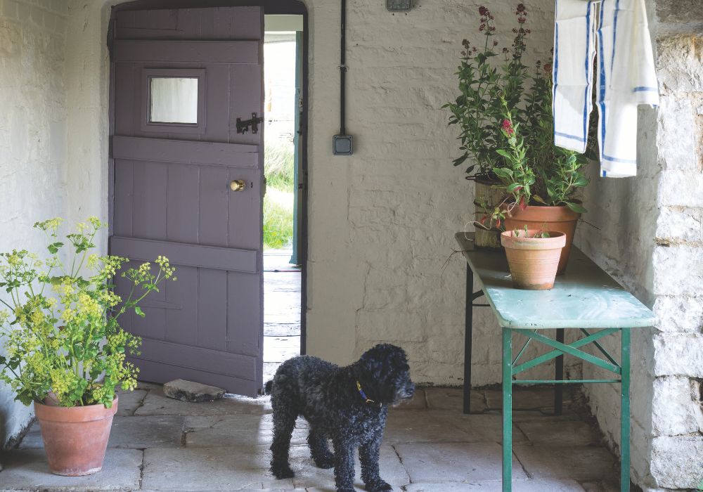 Joa's White 226 de Farrow and Ball.