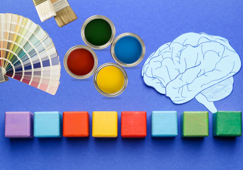 El cerebro y el procesamiento del color.