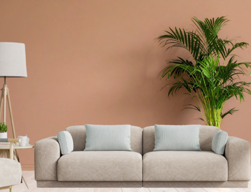 Dónde usar pintura mate en tu casa: las claves para acertar con el acabado