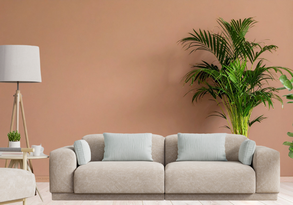 Pintura mate, el acabado que debes saber dónde aplicar.